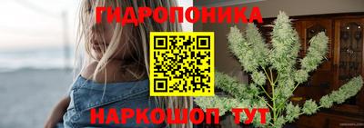 прущие грибы Камышлов