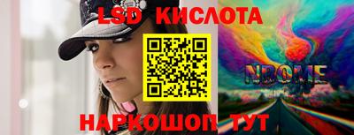 прущие грибы Камышлов