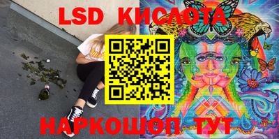 прущие грибы Камышлов