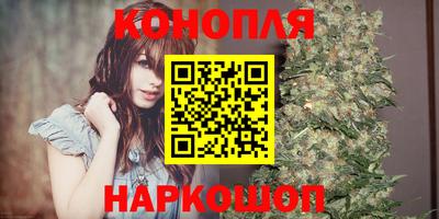 прущие грибы Камышлов