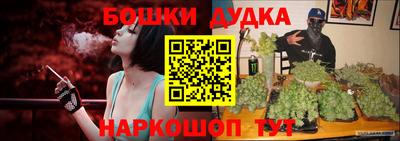 прущие грибы Камышлов