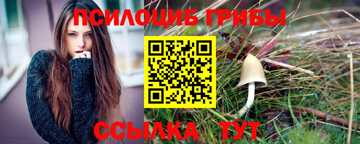 Псилоцибиновые грибы Cubensis  Вход с VPN  где продают наркотики  Шебекино 